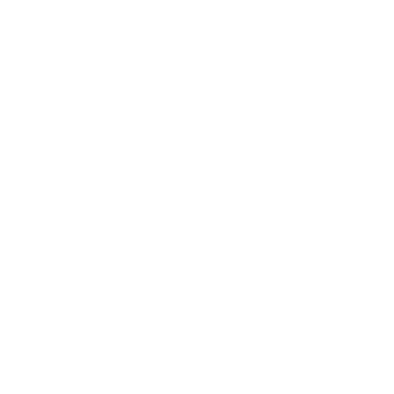 Brussels Independent Film Festival Logo