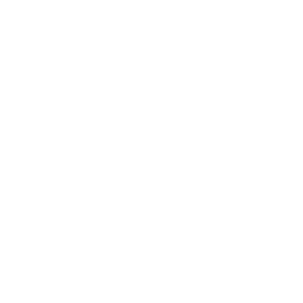 FantasPorto Logo