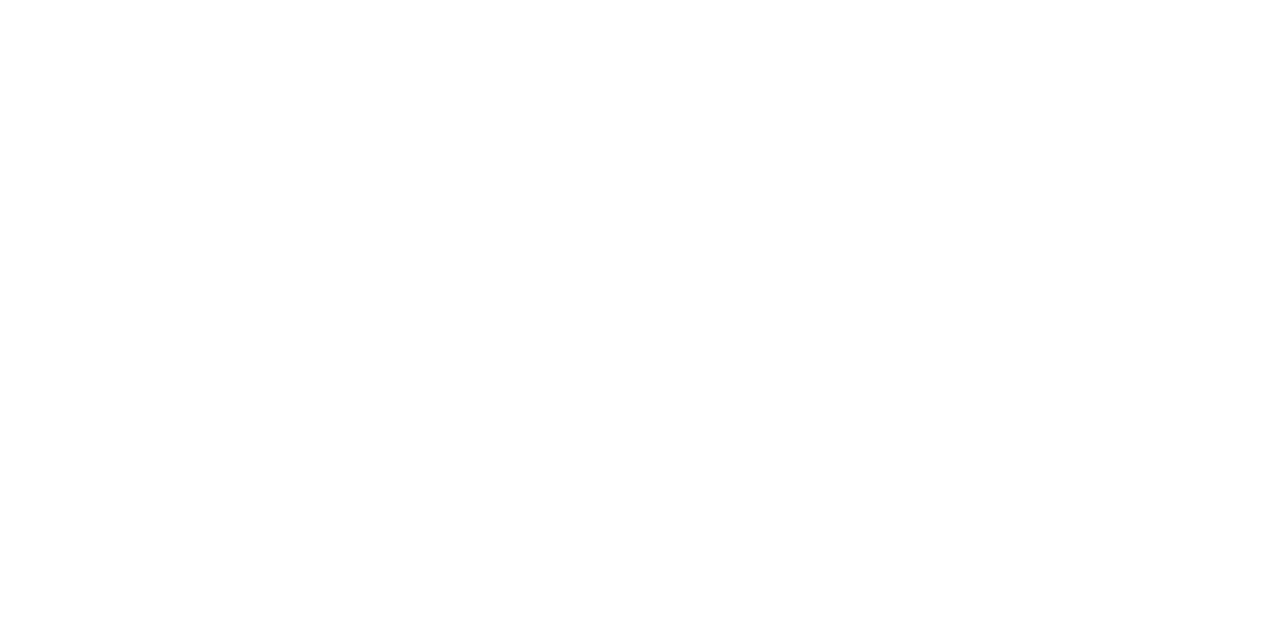 Festival Internacional de Cine en Guadalajara Logo