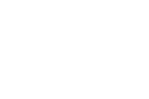 Lucca Film Festival