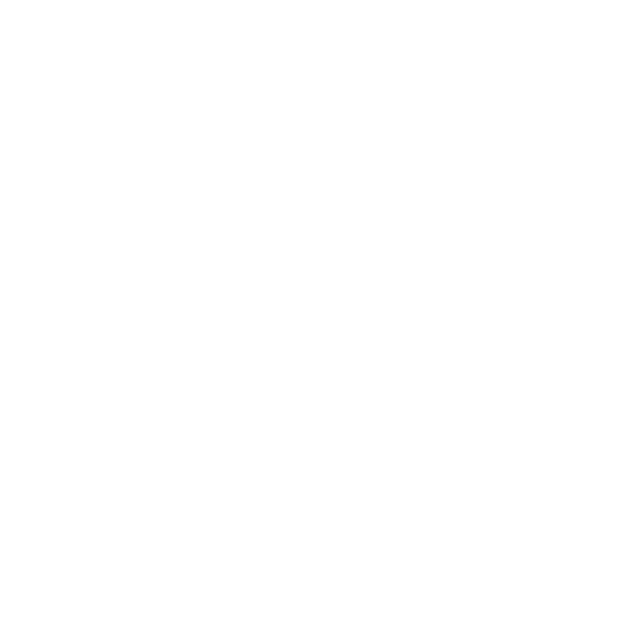 Madeira Film Festival Logo